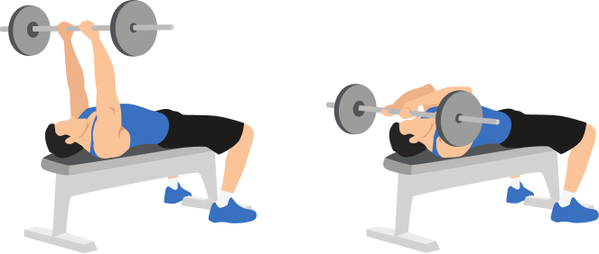 Lying Tricep Extension demonstration
